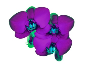 F 043B